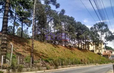 Área à venda, 8163 m² por r$ 6.800.000,00 - jardim são paulo - itaquaquecetuba/sp