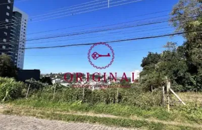 Terreno à venda na rua pedro pezzi, 1236, panazzolo, caxias do sul por r$ 2.500.000