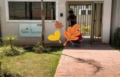 Apartamento 2 dormitórios 1 vaga para venda em itaquera