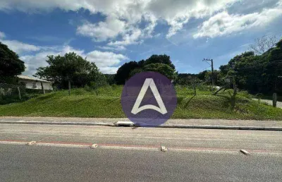 Terreno à venda, 1489 m² por r$ 6.400.000,00 - campeche - florianópolis/sc