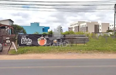 Terreno comercial para alugar na avenida edgar pires de castro, 2613, hípica, porto alegre por r$ 4.600