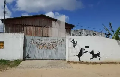 Barracão / galpão / depósito para alugar na estrada jorge pereira nunes, 35, campo novo, porto alegre por r$ 4.000