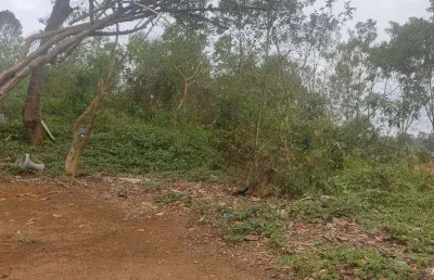 Terreno à venda, 3000 m² por r$ 150.000,00 - cidade nova bonsucesso - guarulhos/sp