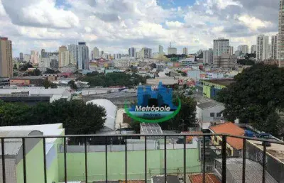 Terreno à venda, 500 m² por r$ 1.800.000,00 - centro - guarulhos/sp