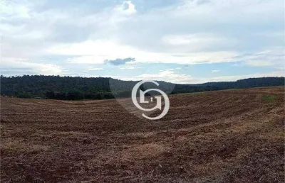 Chácara à venda, 20000 m² por r$ 500.000 - condomínio de chácaras mirante do parque - santa tereza do oeste/pr