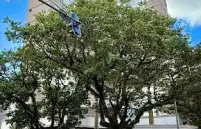 Apartamento no edifício way point com segurança 24 hrs