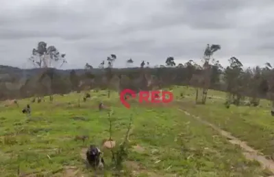Área à venda, 52000 m² por r$ 3.000.000,00 - zona rural - louveira/sp