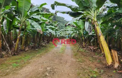 Sítio à venda, 145000 m² por r$ 600.000,00 - zona rural. - juquiá/sp