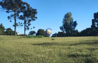 Império imóveis, vende chácara, na localidade de pedras brancas.