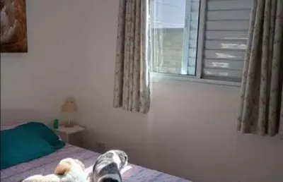 Loft com 2 quartos à venda na Rua Alves de Almeida, 1089, Chácara Belenzinho, São Paulo