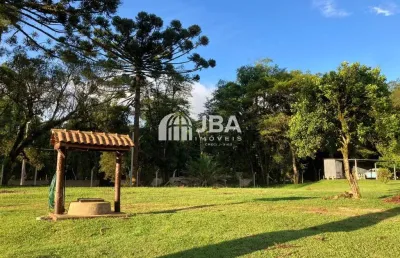 Chácara / sítio com 3 quartos à venda na antônio manosso, 19, campo novo, campo magro, 60 m2 por r$ 960.000