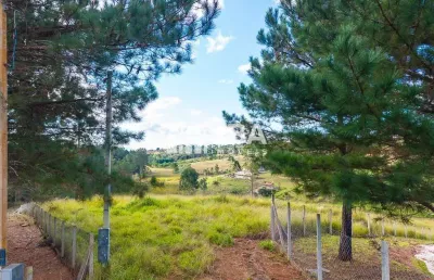 Chácara / sítio à venda na josé carlos pereira dos santos, 800, rancho alegre, campina grande do sul por r$ 630.000