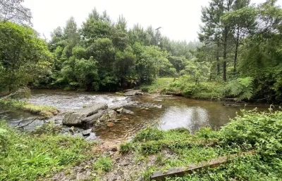 Área de 92 alqueires em guaricana - apenas 15 km da br 376
