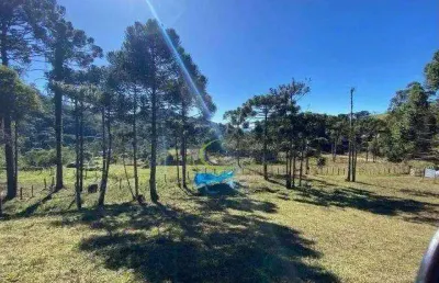 Área à venda, 46000 m² por r$ 950.000,00 - atras da pedra - gonçalves/mg