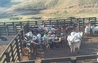 Fazenda com 3 dormitórios à venda, 3388000 m² por r$ 11.700.000 - centro - lorena/sp