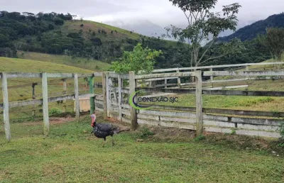 Sítio com 3 dormitórios à venda, 290400 m² por r$ 3.500.000 - ribeirão grande - pindamonhangaba/sp