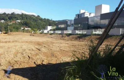 Terreno à venda, 10772 m² por r$ 17.500.000 - centro - blumenau/sc | la vita imóveis