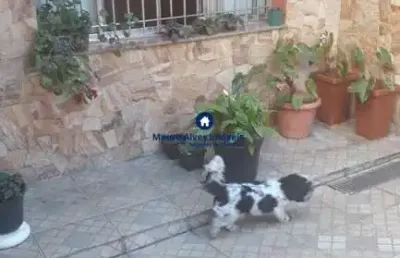 Casa com 3 quartos à venda no alto ipiranga, mogi das cruzes , 287 m2 por r$ 700.000