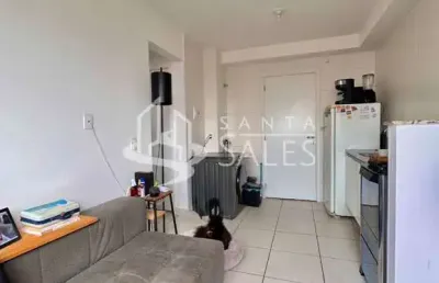 Imperdível! apartamento à venda em são paulo-sp, parque munhoz - 2 quartos, 1 sala, 1 banheiro, 34m². venha conferir!