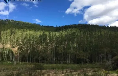 Fazenda à venda no Centro, Vargem Alta 
