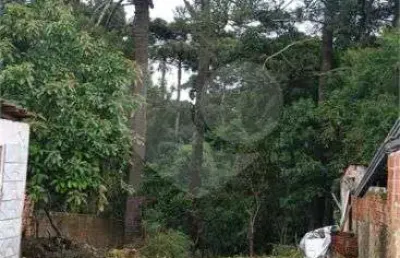 Terreno à venda na Rua Marialva, 339, Pinheirinho, Curitiba
