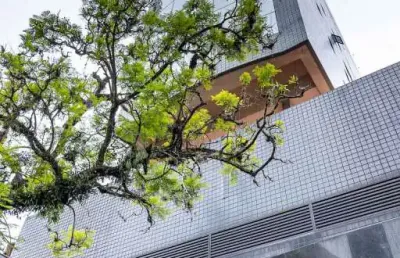Sala comercial à venda na rua casemiro de abreu, 367, rio branco, porto alegre por r$ 400.000