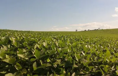 Sitio a venda área total de 10 alqueires  planta 8    região de são luiz