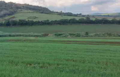 Sitio a venda  14,95 alqueires   zona sul de londrina 1,5 km da pr 445 .