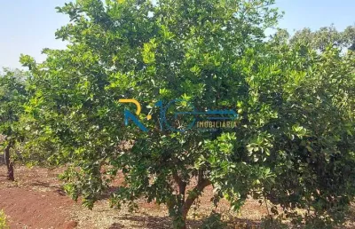 Sítio a venda  com uma área total de 68.000 m²   ótimo para loteamentos .