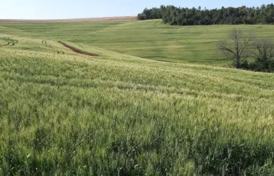 Sítio a venda  com uma área de 15 alqueires ,  com benfeitorias no asfalto