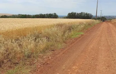 Sitio a venda   área  de 4 alqueires  gleba primavera ibiporã pr