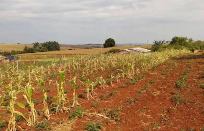 Chácara / sítio à venda no Couro do Boi, Jataizinho 