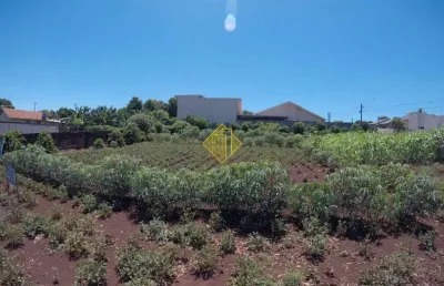 Terreno à venda no Dallas, Palotina 