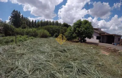 Terreno à venda no Imigrantes, Palotina 