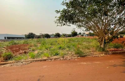 Lote ufpr jardim terra nostra, 3 quadras da ufpr palotina.