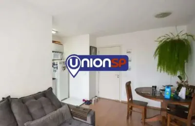 Apartamento com 2 dormitórios à venda, 50 m² - cambuci - são paulo/sp