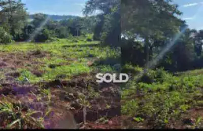 Sítio com 2 dormitórios à venda, 77300 m² por r$ 750.000,00 - zona rural - nuporanga/sp