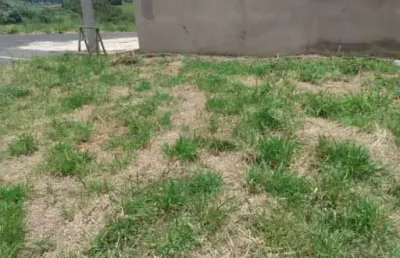 Terreno à venda, 200 m² por r$ 160.000,00 - centro - cristais paulista/sp