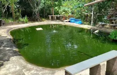 Chácara com 1 dormitório à venda, 1679 m² por r$ 403.000,00 - zona rural - franca/sp