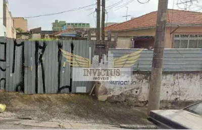 Terreno comercial para alugar, 500m² - bairro santa maria, são caetano do sul/sp.