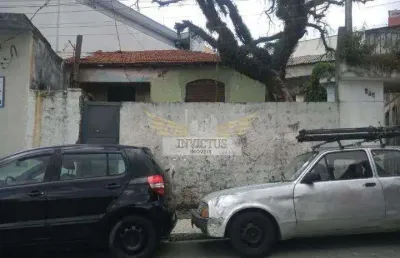 Terreno residencial para comprar, 320m² - nova gerti, são caetano do sul /sp.