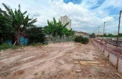 Terreno comercial para locação, 2.630m² - jardim jamaica, santo andré/sp.