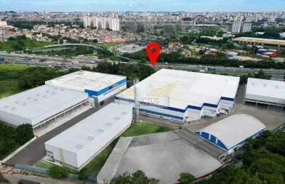 Galpão logístico para alugar, 7.047m² - parque novo mundo, são paulo/sp.