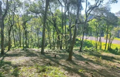 Área com 2 alqueires à venda por r$ 650.000,00 no centro de balsa nova/pr