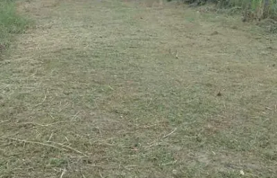 Terreno à venda no Jardim das Palmeiras, Itanhaém 