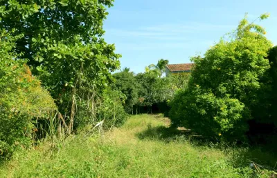 Terreno à venda no Suarão, Itanhaém 