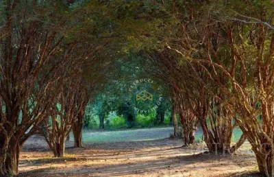 Terreno à venda, 300 m² por r$ 255.000,00 - tanquinho velho - jaguariúna/sp