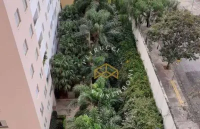 Apartamento com 2 dormitórios à venda, 54 m² por r$ 280.000,00 - jardim dom vieira - campinas/sp