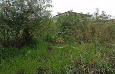 Terreno residencial à venda, cidade universitária, campinas - te3924.