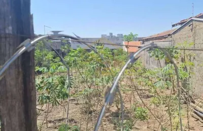 Terreno à venda, 507 m² por r$ 400.000,00 - jardim das palmeiras - sumaré/sp